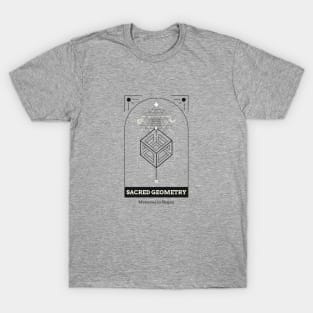 Scared Geometry Shapes Mystery T-Shirt